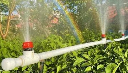 ��� ������� ����������� ����������� �� ���-���� ������ ������