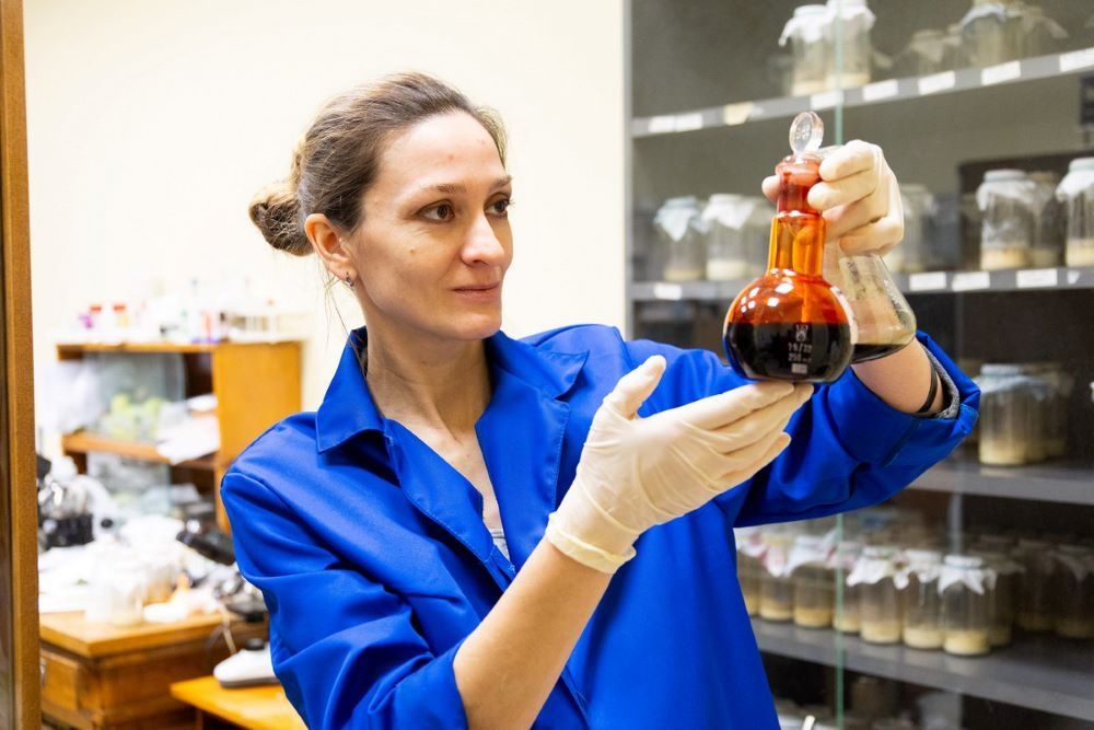 ������ ������� ��������� �������� �� ����������� ������������