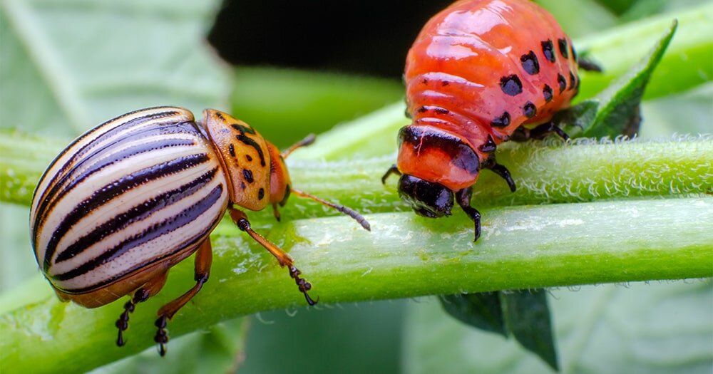 ��� �������� ������� �������� ������ �� ������������ ����