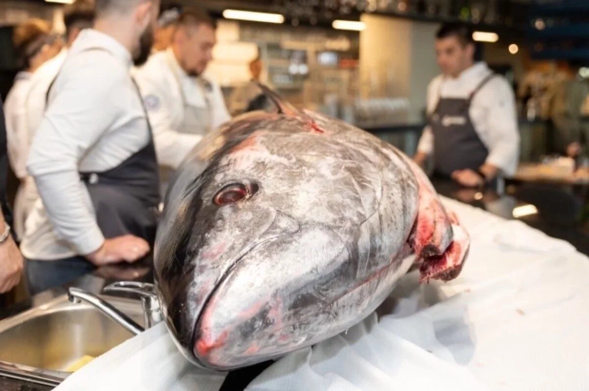 �� ���������� �������� � ������ ������������� ��������� ���� �� �����