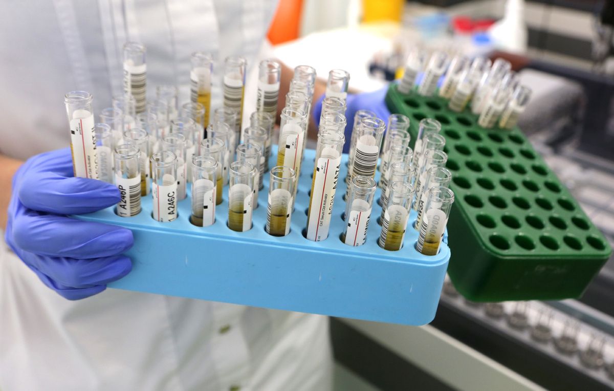 � ������������ �������� ��������� ������� ���������� ������� ��������������