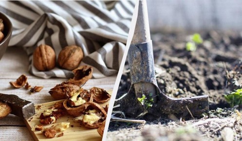 �������� �������� ��������: �� ������������ �������