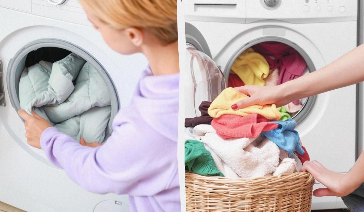 ��� �������� �������� ������ ����� ����� ������: ������ ������