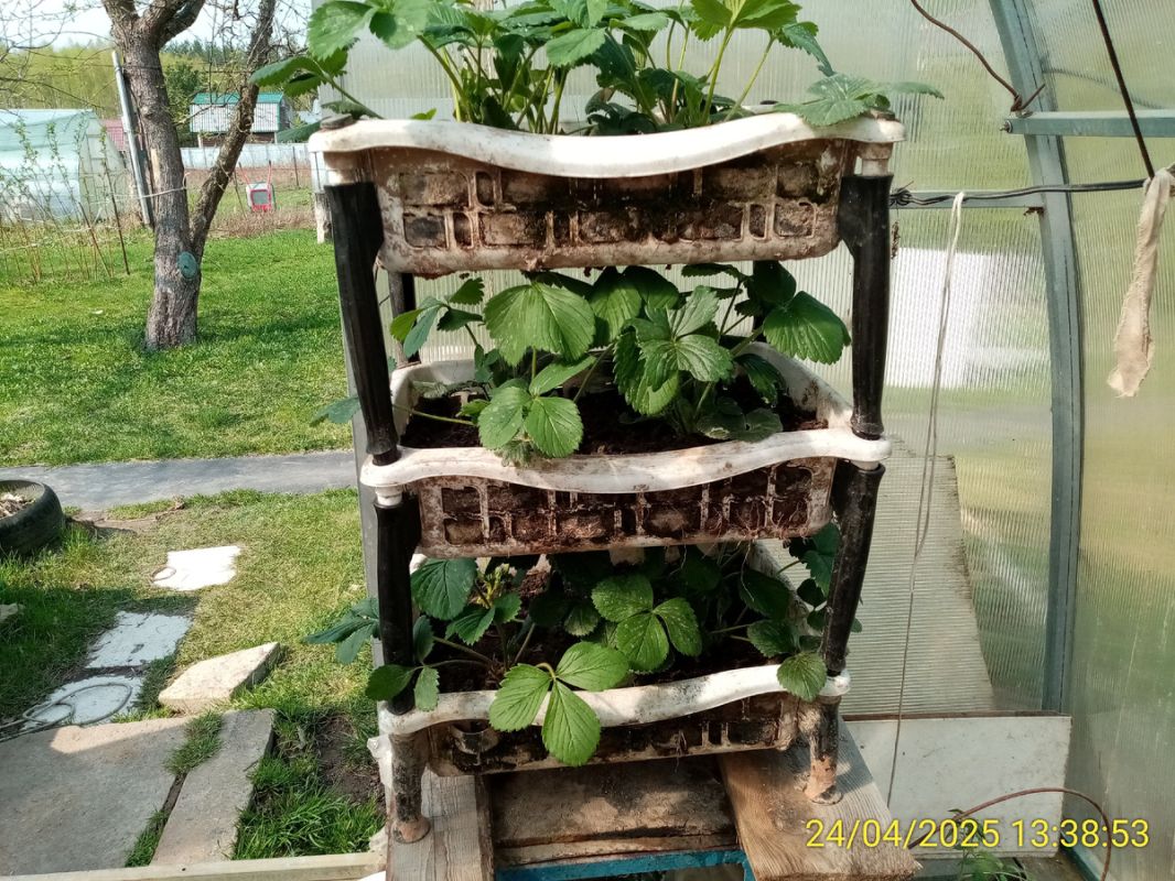 ������������� ��������� ������ ������� �������� � ������