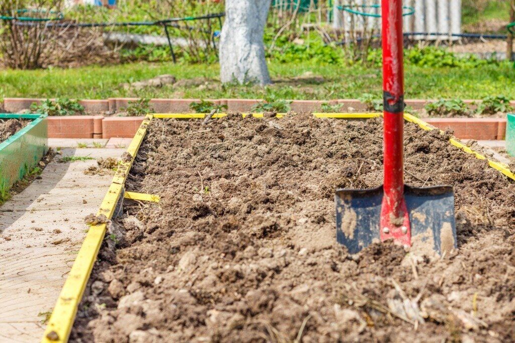 ������� ����������: ��� ������ �������� ���� ����� ��� �������� ������