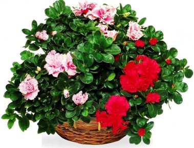 10 ��������� ��������� ��������, ��������� ������� �����