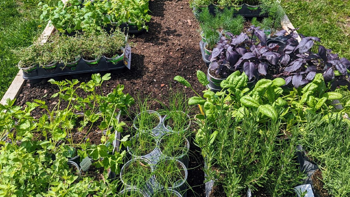 ������ � ��������: ����������� ����� � �������� ���������