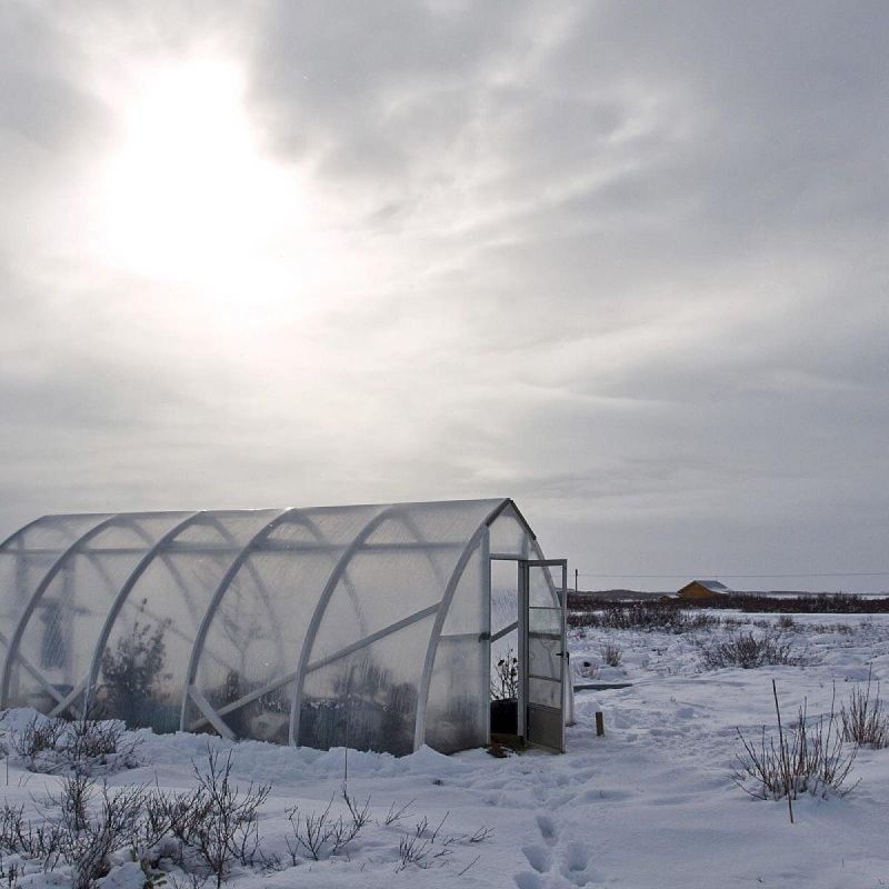 ������ ������� ��� ���������: ��� ������������� � ������ ������