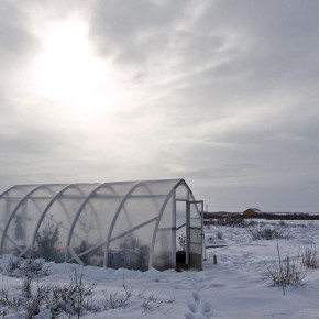 ������ ������� ��� ���������: ��� ������������� � ������ ������