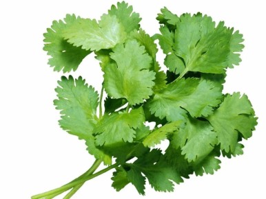 ����� ���������: ������ ���� �����, � ������ ���������?