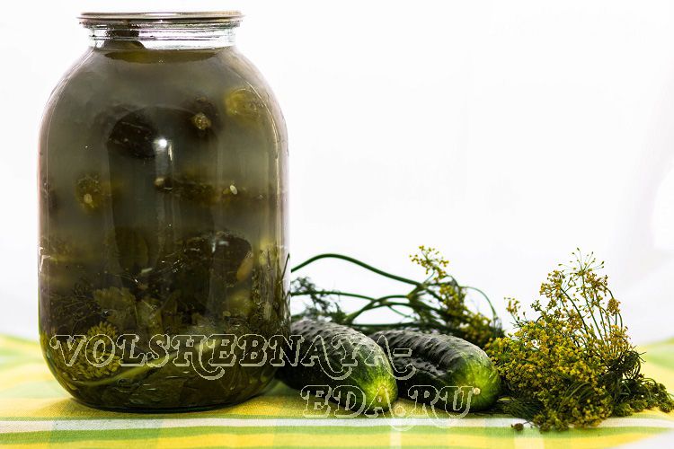 ��� ���������� �������� ������ �� ����