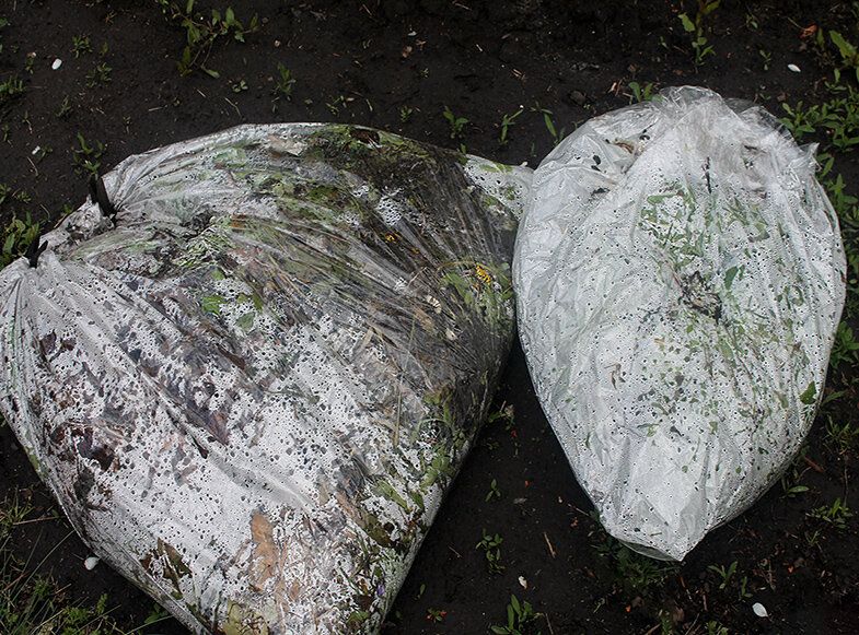 ��������� ������ �� ����: ��� ������� ��������� ��������� ����� �� ��������� ����