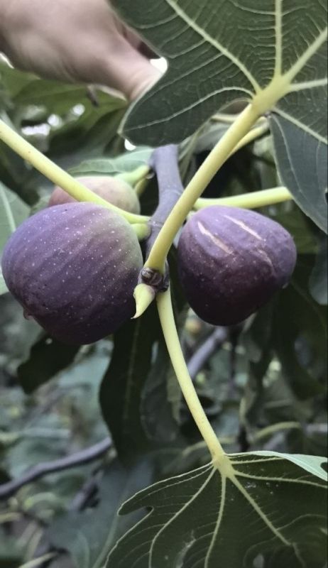 ����� � ������� ���� � ��������: ��� ��� ��������� ���� � ������������