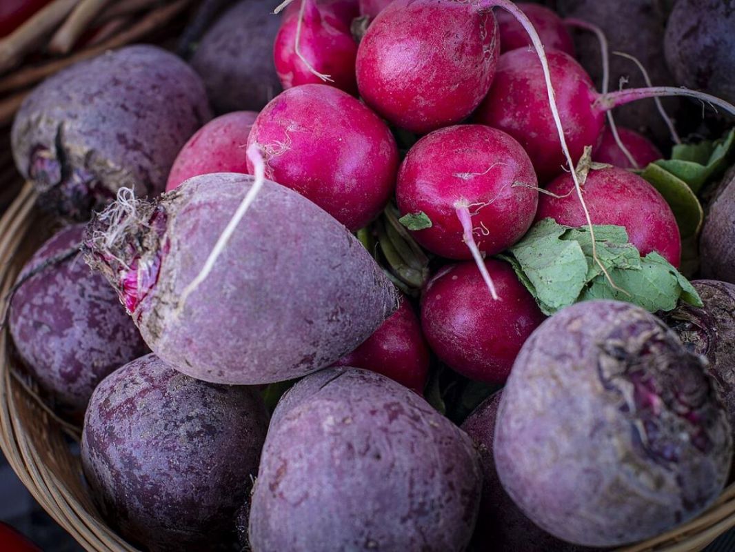 Как вырастить сладкую свёклу: советы для дачников