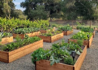 ��� ������� ��������� ����� ��� ������� ������: ������ ��� ������ ����