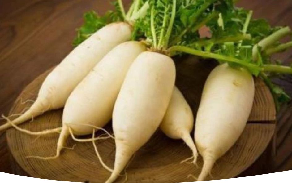 Китайская редька лобо: секреты выращивания и популярные сорта