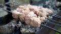 Как выбрать идеальное мясо для шашлыка: советы Роспотребнадзора