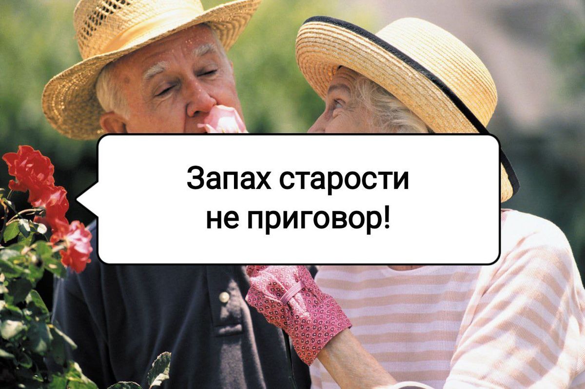 ��� ���������� �� ������ ��������: ������ ������� �����������