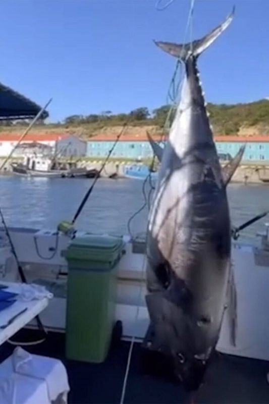 �� ������� ������� ����������� ����� ����� � ������� ��������