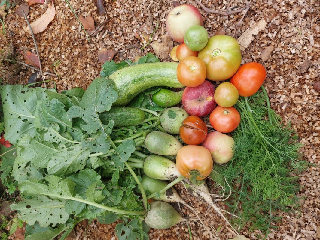 ��������� � ������ �����: ������� ������� ��� ��������� �������