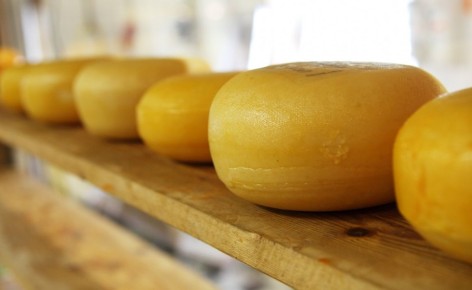 Сыр как средство для поддержания здоровья мозга: новые открытия японских ученых