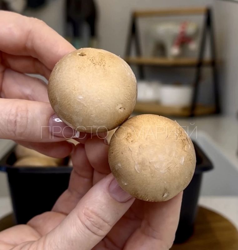 ������� ����������, ������� ������ ���� ��������