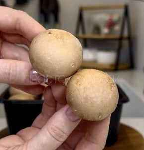 ������� ����������, ������� ������ ���� ��������