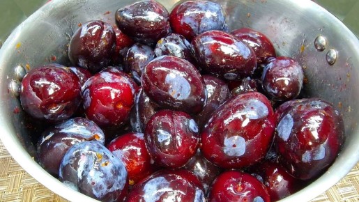 Кишечник как ключ к здоровью: 7 продуктов для его оптимальной работы