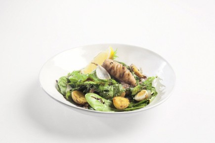 ������ ����� � ���������� � ������������ ������ ��� ��������