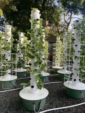 �������: ������ ������ �� ����� �����