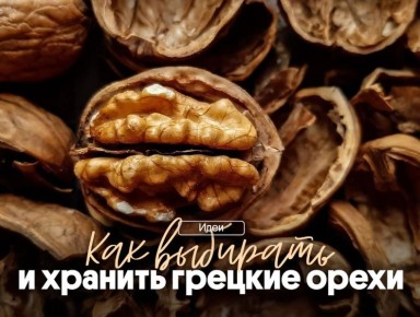 ������� �����: ������� ������, �������� � ����������� �������������