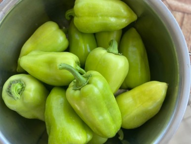 ������������� �����, ������� ������: ���������� ������ ��� ������ ������