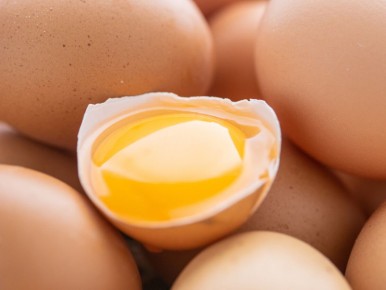 ��� ������������ ������: ������� ������� �� ������ ����