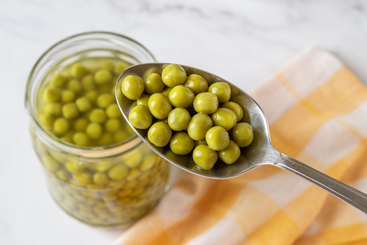 ������ ����� ����� �������� � ������: ���� ������������ ������