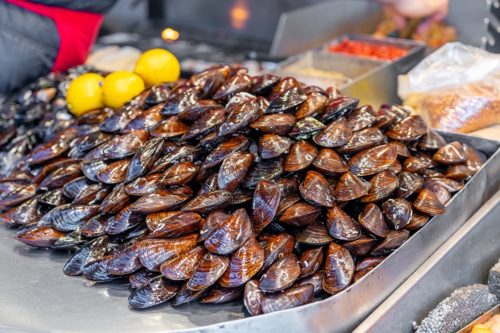 Искусство приготовления мидий: секреты выбора и лучшие рецепты