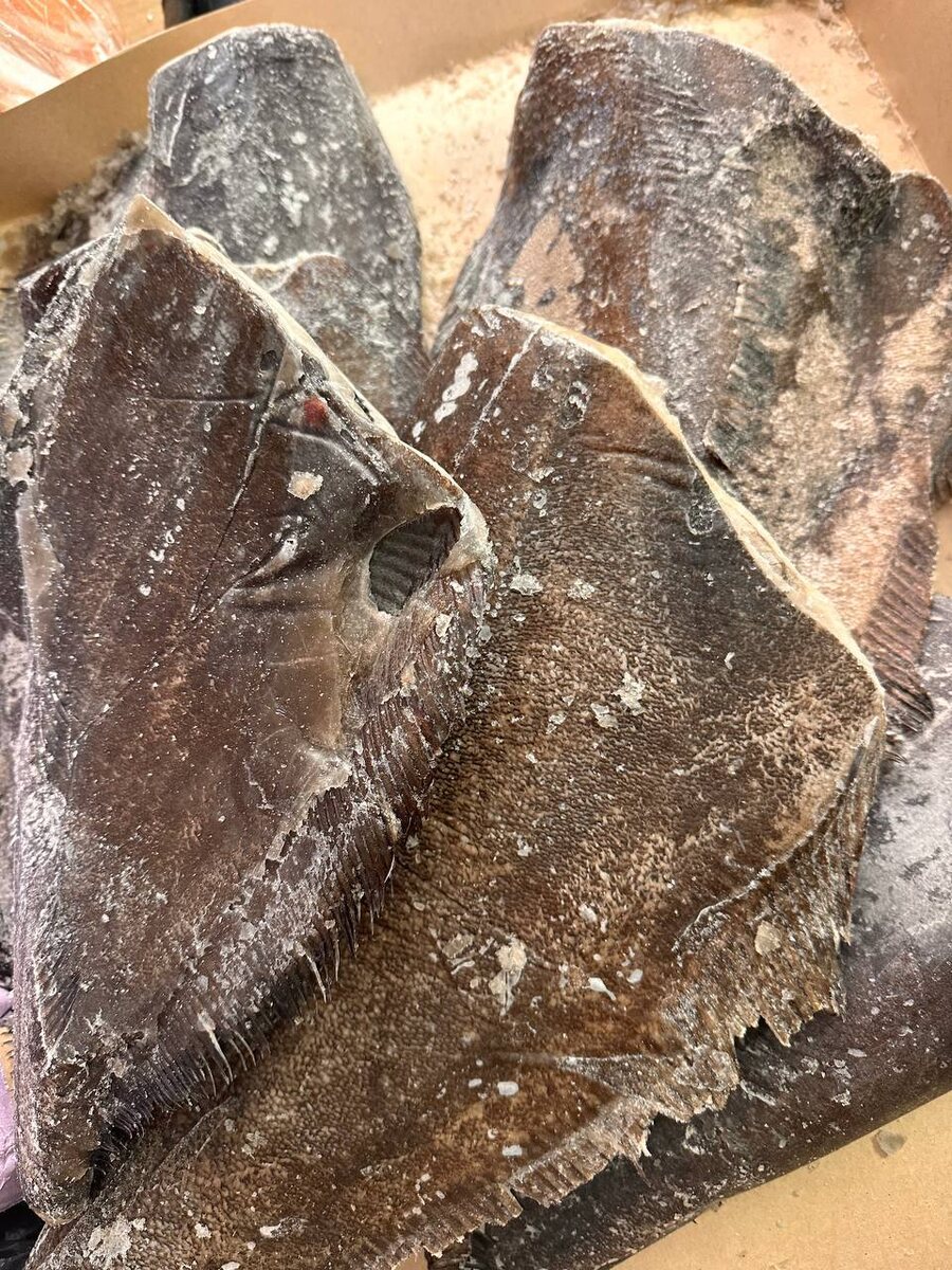 Не растекающийся палтус синекорый за 1550 р/кг: что это значит?