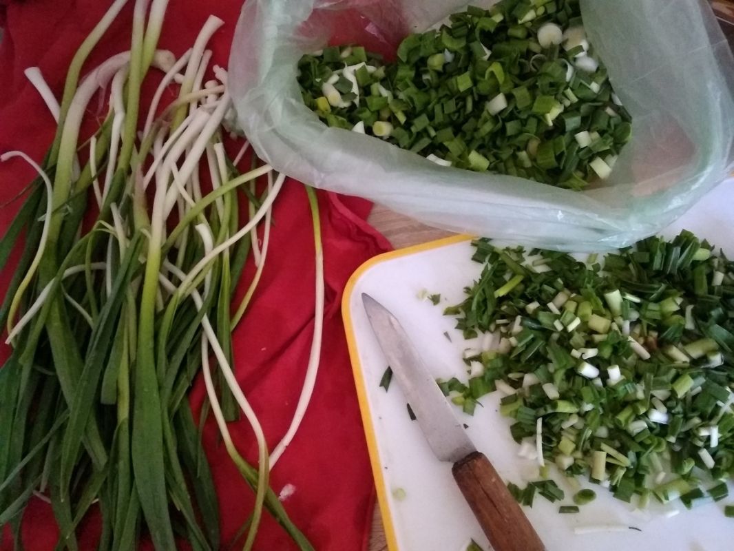 Как использовать неожиданный чеснок: полезные советы по заморозке