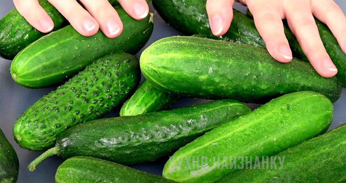 Секреты приготовления малосольных огурцов: новое прочтение классического рецепта