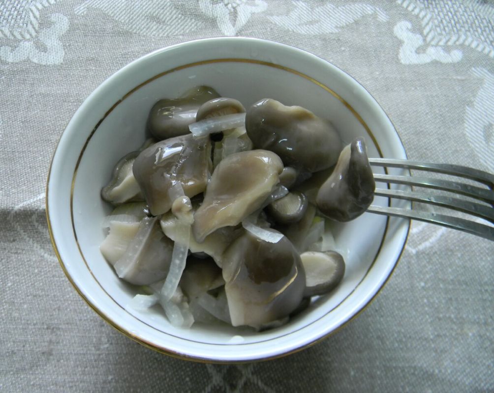 Как замариновать вешенки: секреты от начинающего грибника