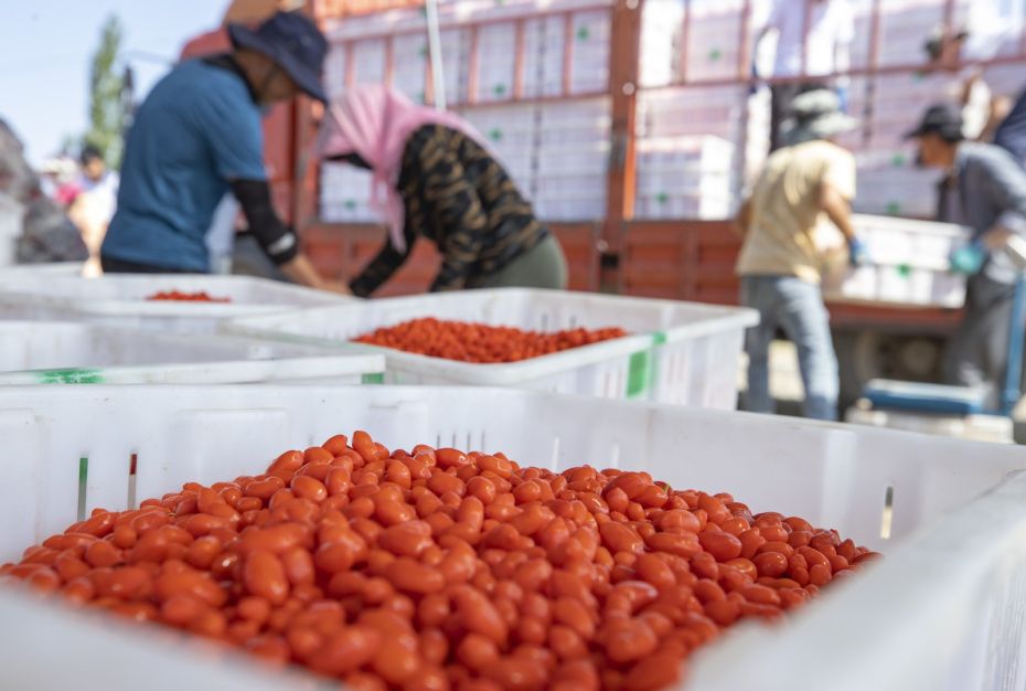 ����� ����� � ���������: ���� ����� �� ���� ���������� ��� ����������?