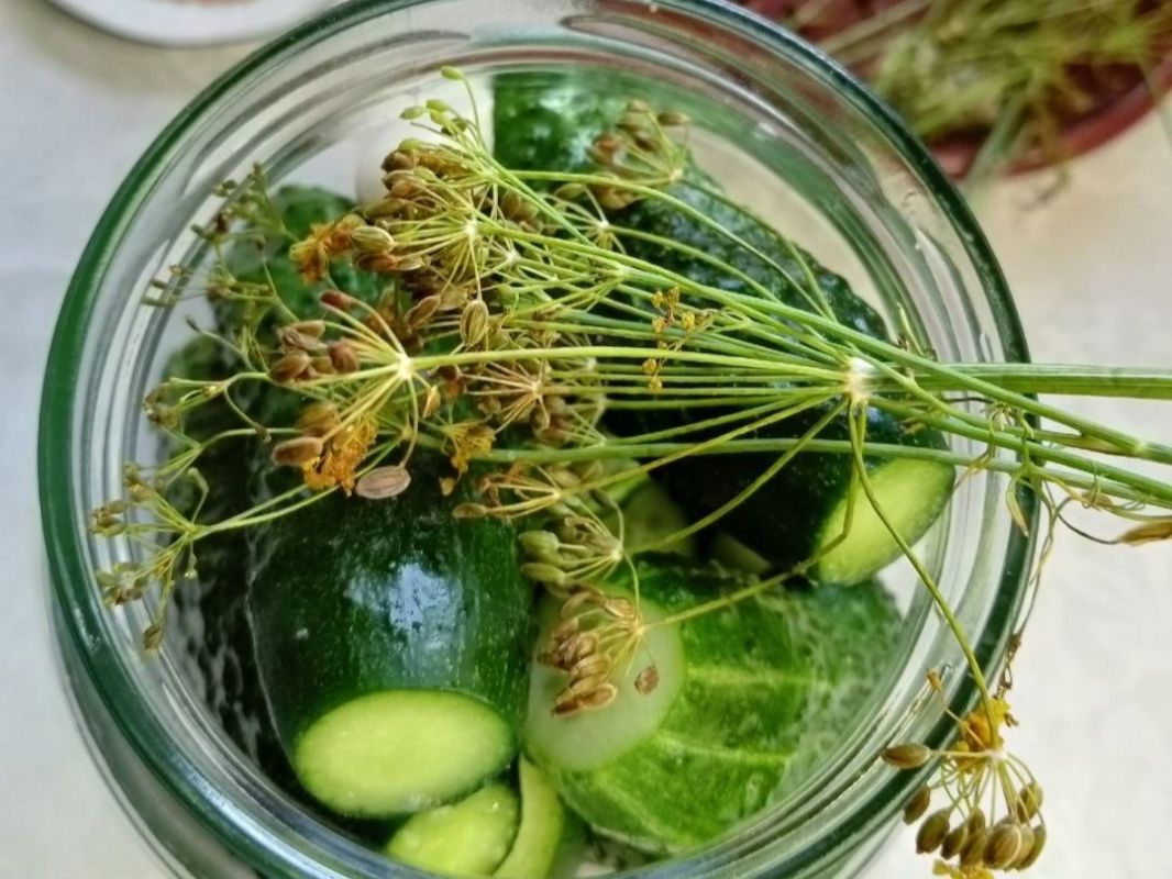 Заготовки на зиму: как закрыть огурцы, чтобы вкусно было всю зиму