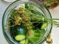 Заготовки на зиму: как закрыть огурцы, чтобы вкусно было всю зиму