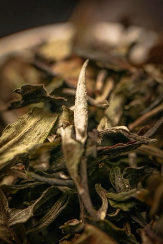 ������ �������: ��� ������ ��������� ���������� ���� ���