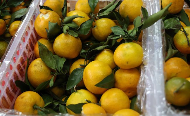 ��������� ��������� �� ������ ������� �� ����� ���� ��-�� ������ � ����������