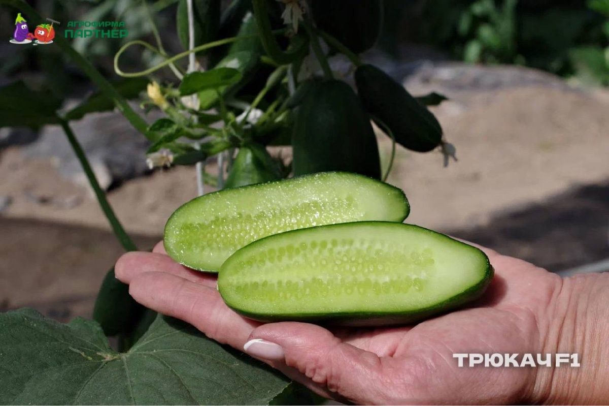 ��� ��������� ������ ������ ���� �����: ������ ��� ����������� �����