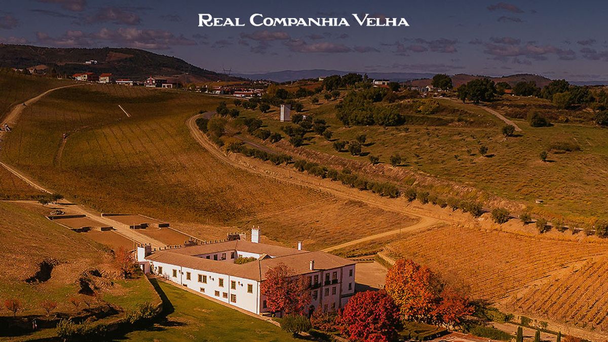 ������� �����: ��������� ���� ��������� � ������� �������������