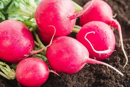 Секреты успешной посадки редиса: когда и как добиться отличного урожая