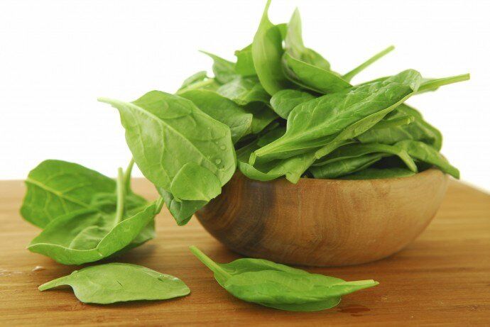 Как заготовить щавель на зиму: полезные советы