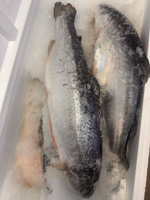 ���� �� ��������� ���� � 8 �����