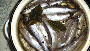 ��� ������ � ������ �������� �����